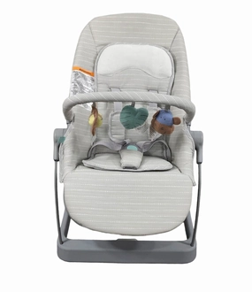 Aden   Anais 3-in-1 Transition Floor Seat