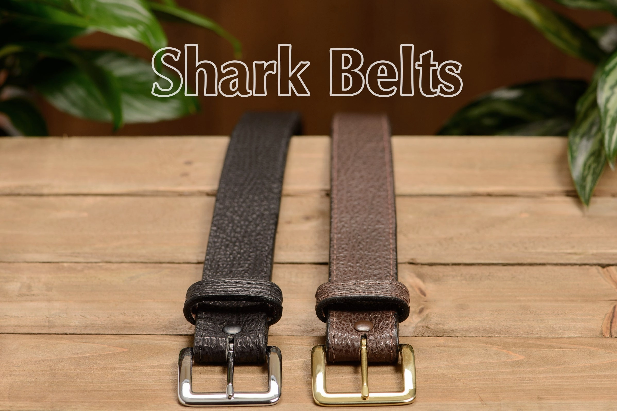 Black Shark Money Belt With 25" Zipper 1.50" Wide