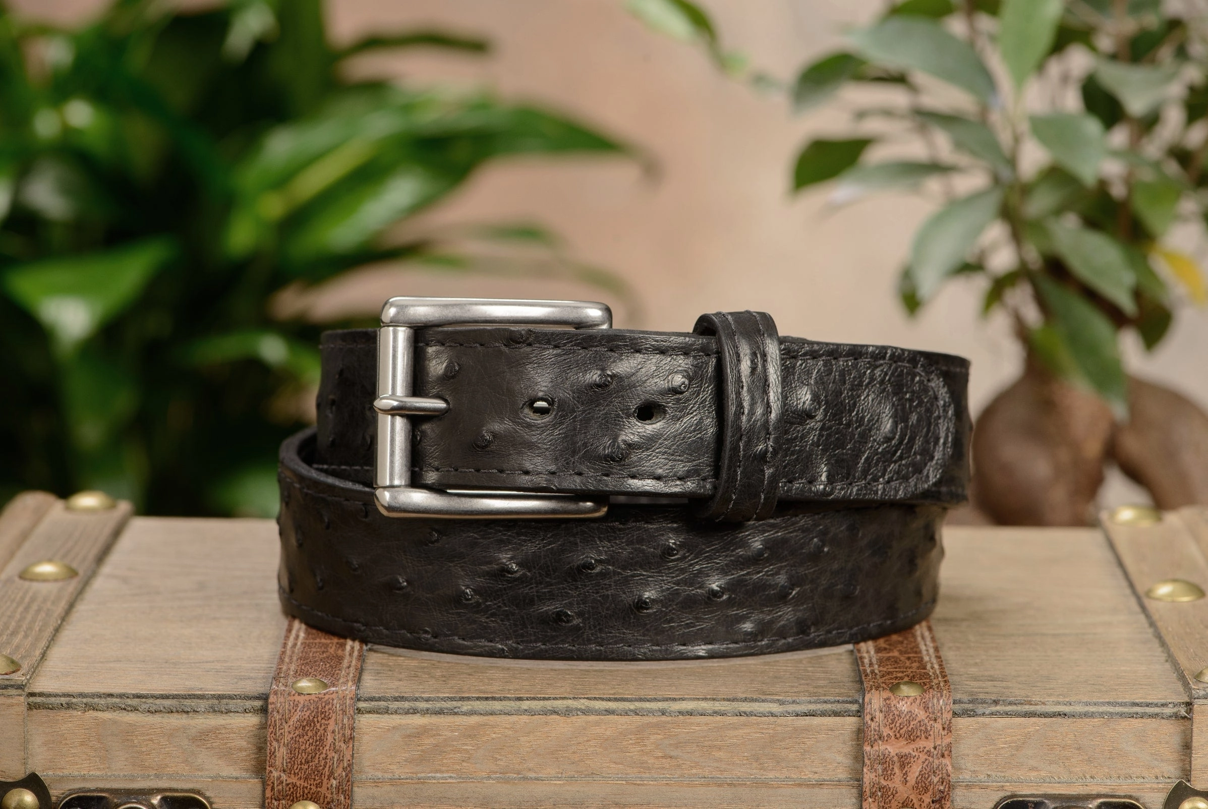 Black South African Ostrich Skin Max Thickness Gun Belt