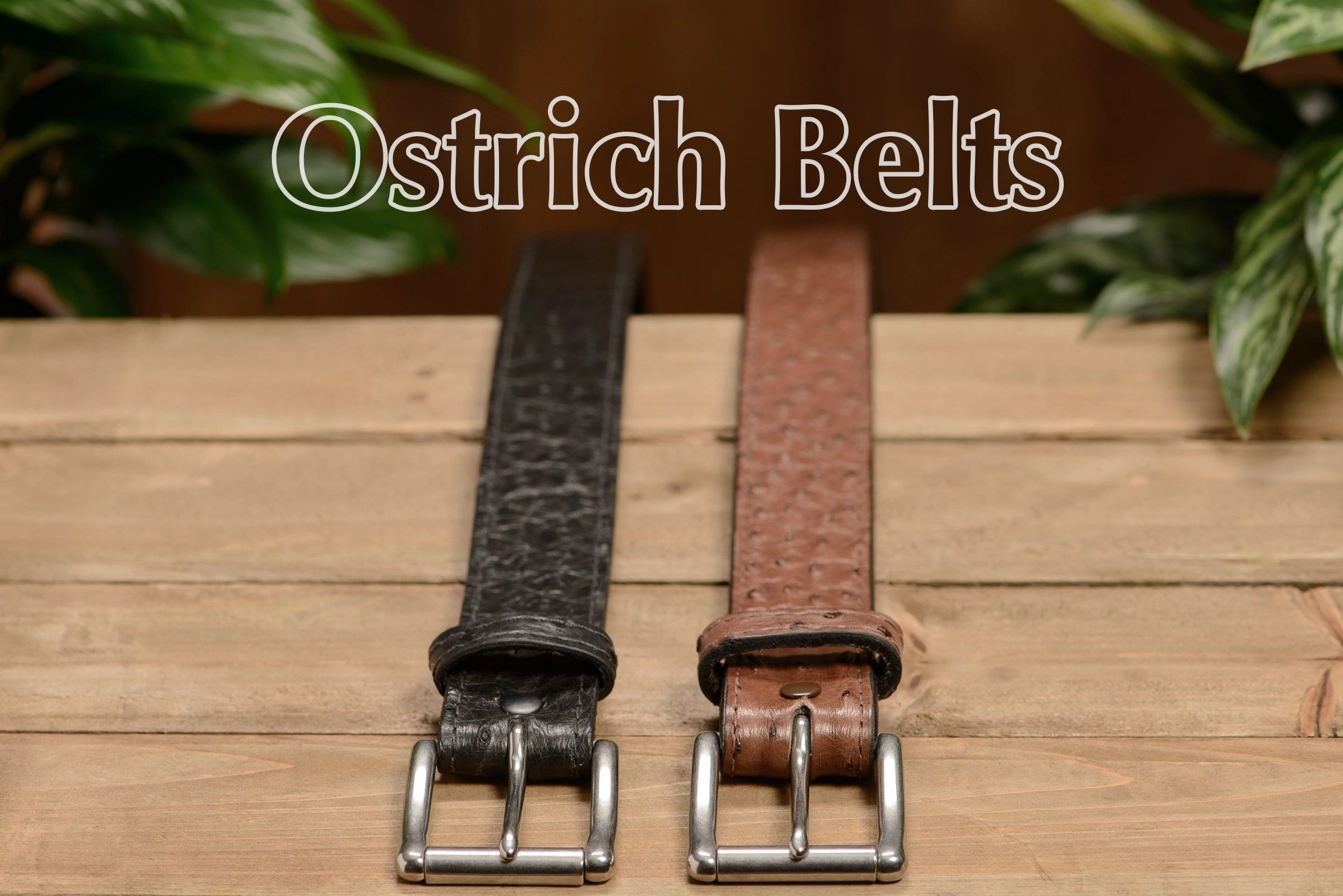 Black South African Ostrich Skin Max Thickness Gun Belt