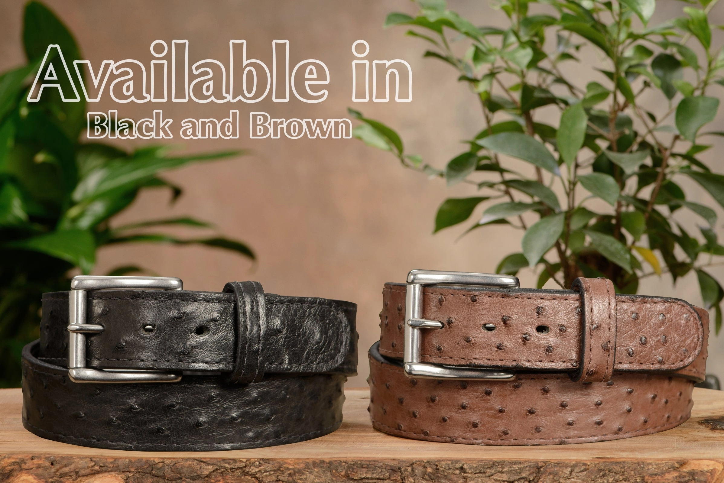 Black South African Ostrich Skin Max Thickness Gun Belt