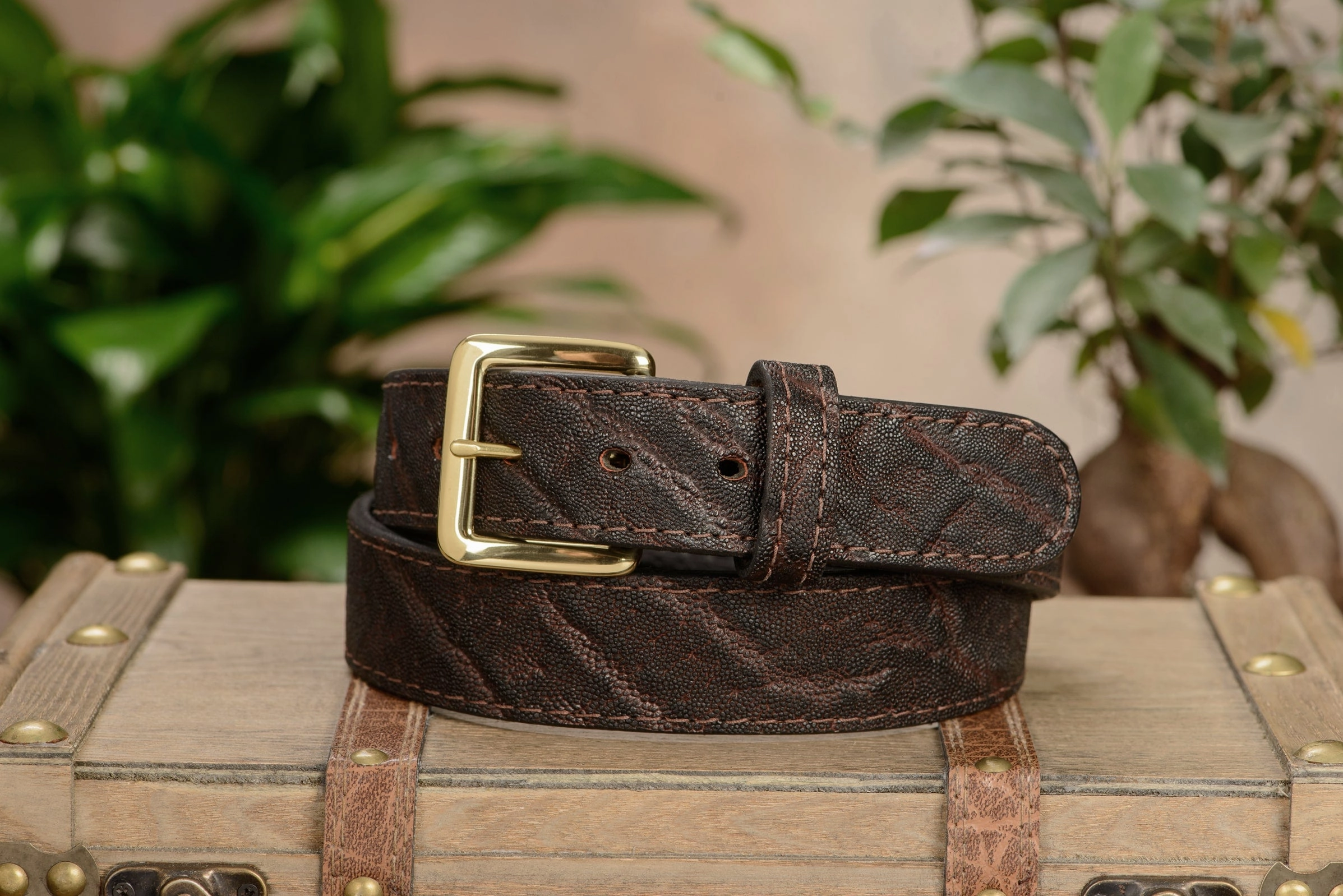 Dark Brown Elephant Money Belt With 25" Zipper 1.50" Wide