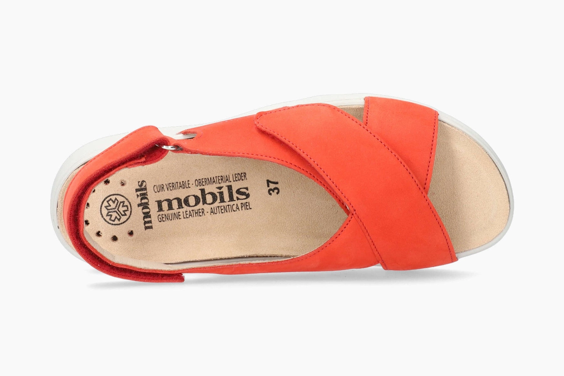 Malorie - Cranberry 6962