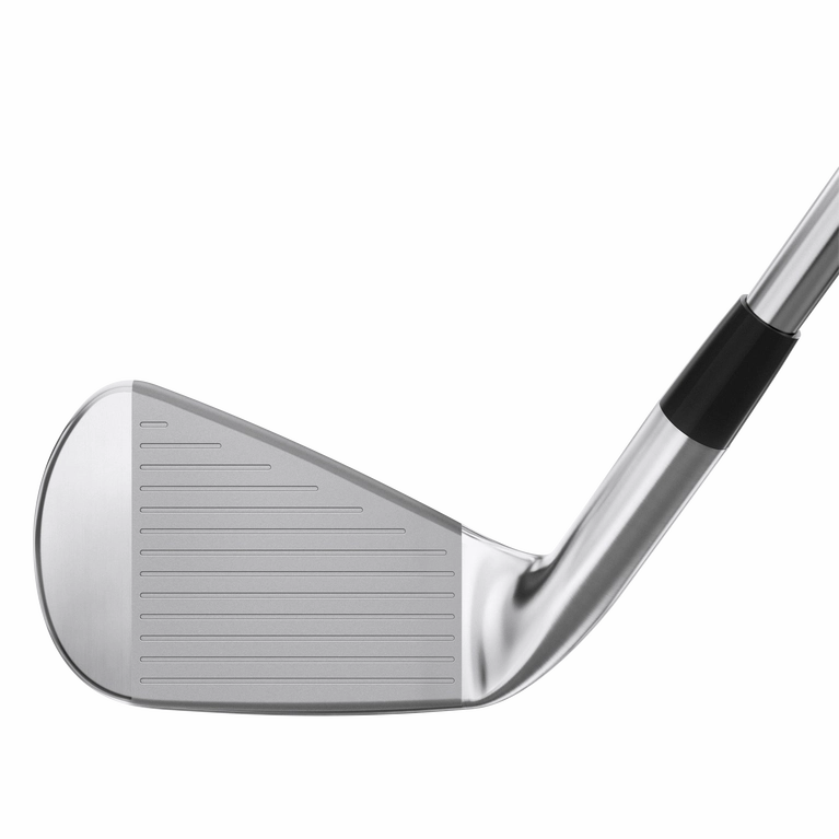 Mizuno Pro 245 Custom Irons