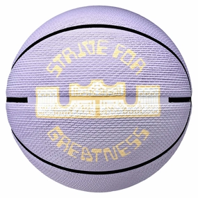 Playground 2.0 8P LeBron James Basketball