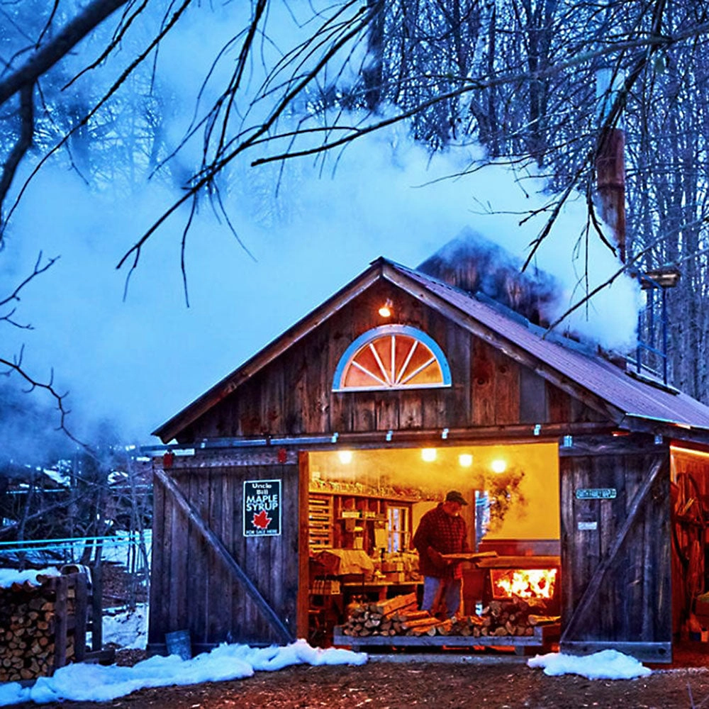 Pure Maple Syrup No.1