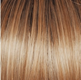Voltage Elite Wig by Raquel Welch | Synthetic (Monofilament Top)