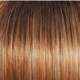 Voltage Elite Wig by Raquel Welch | Synthetic (Monofilament Top)