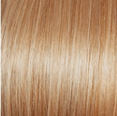 Voltage Elite Wig by Raquel Welch | Synthetic (Monofilament Top)