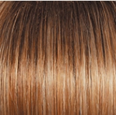 Voltage Elite Wig by Raquel Welch | Synthetic (Monofilament Top)