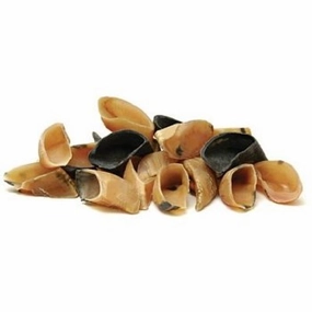 Westerns Cow Hoof Chew for Dogs